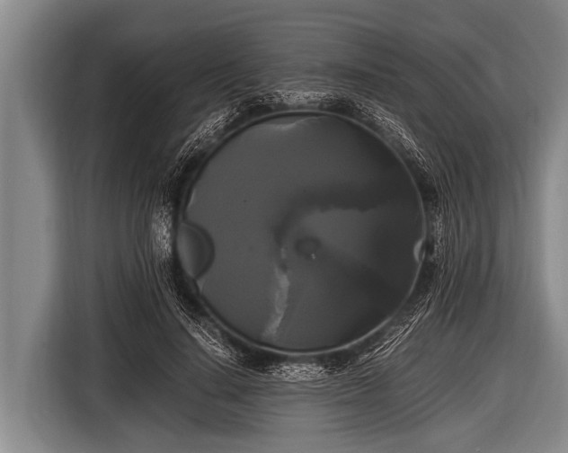 X0000116800644200912241202