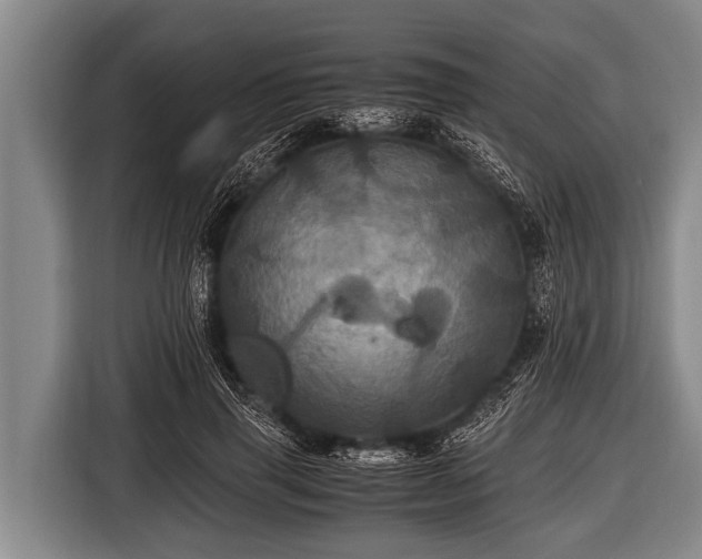 X0000116800645200912241202