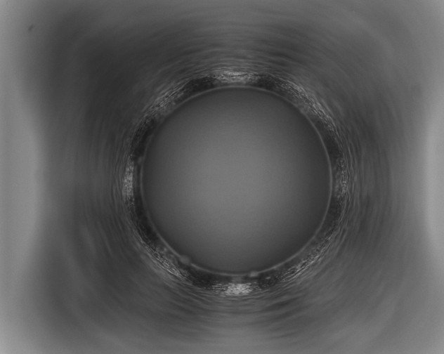 X0000116800647200912241202