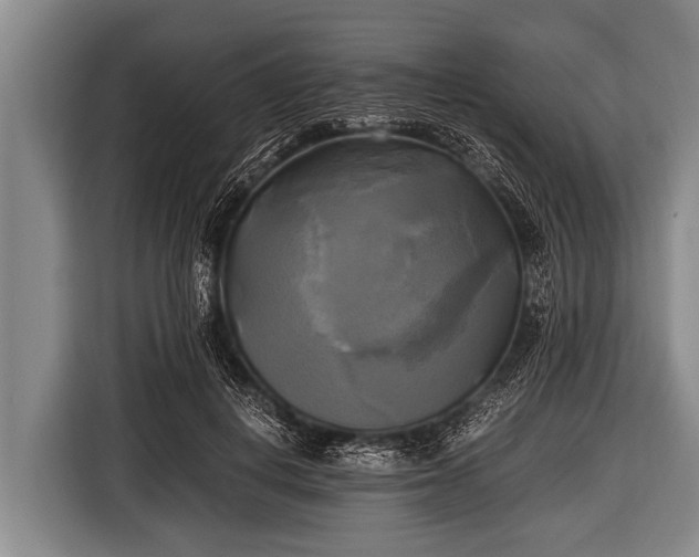 X0000116800648200912241202