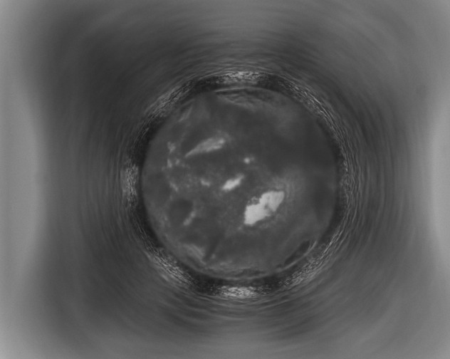 X0000116800649200912241202