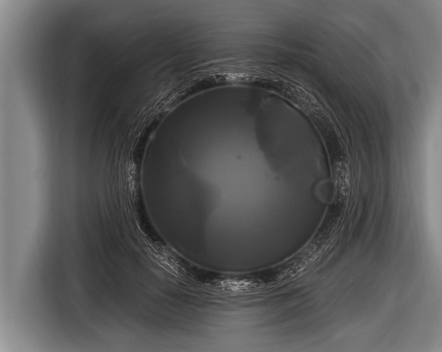 X0000116800650200912241202