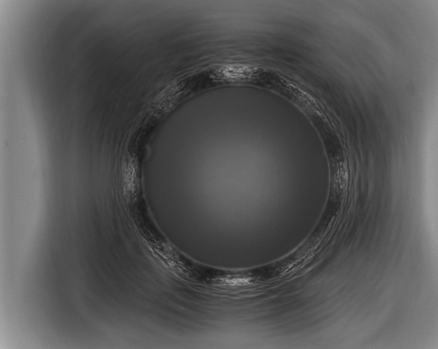 X0000116800651200912241202