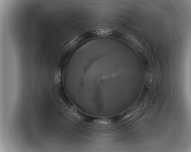 X0000116800652200912241202