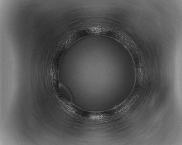 X0000116800653200912241202