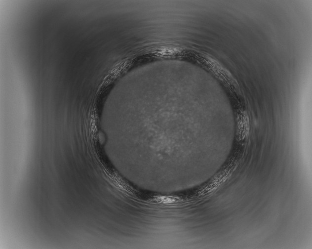 X0000116800654200912241202