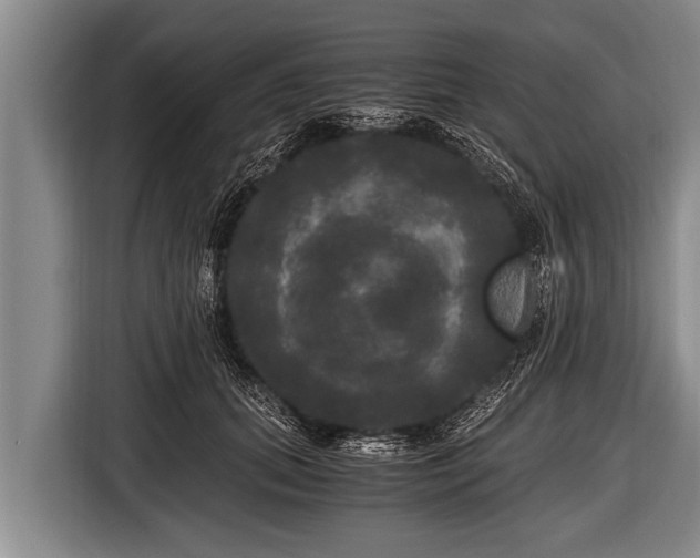 X0000116800655200912241202