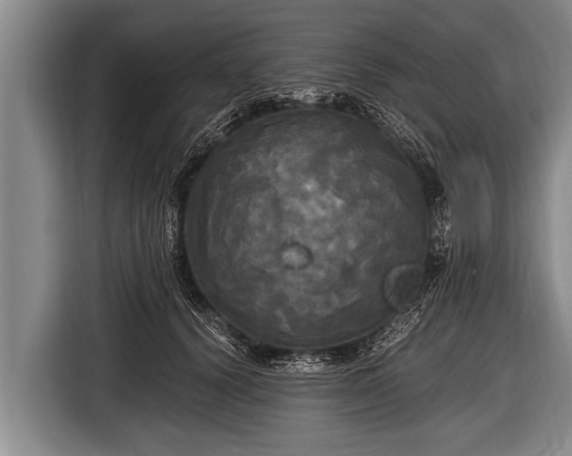 X0000116800656200912241202