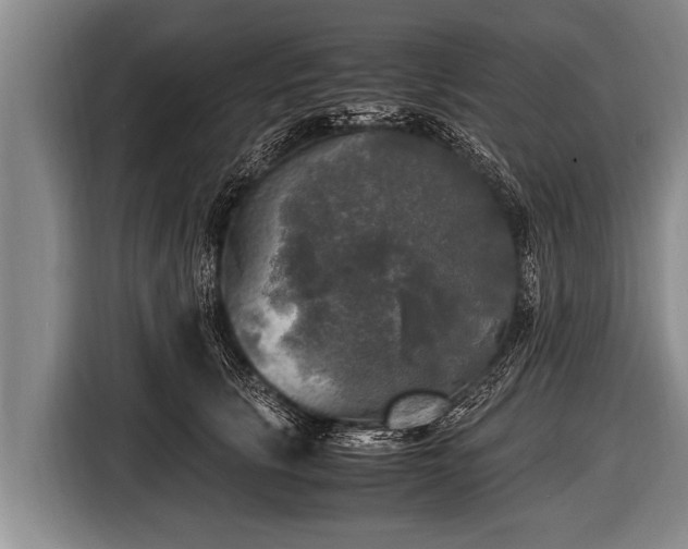 X0000116800657200912241202