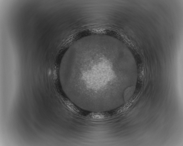 X0000116800658200912241202