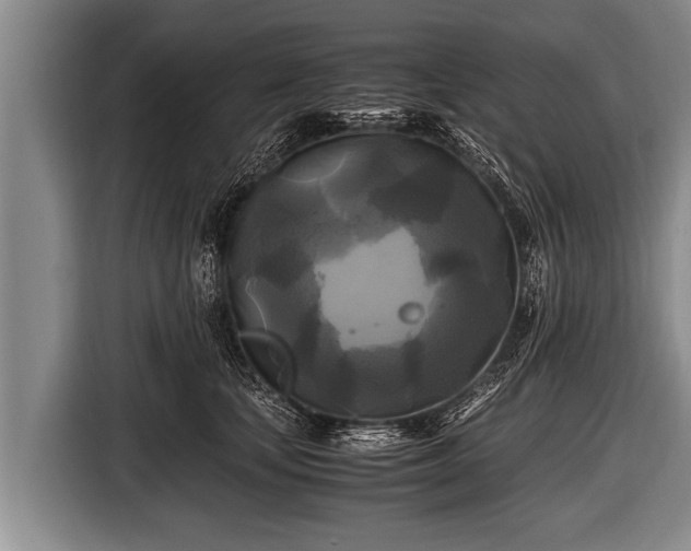 X0000116800659200912241202