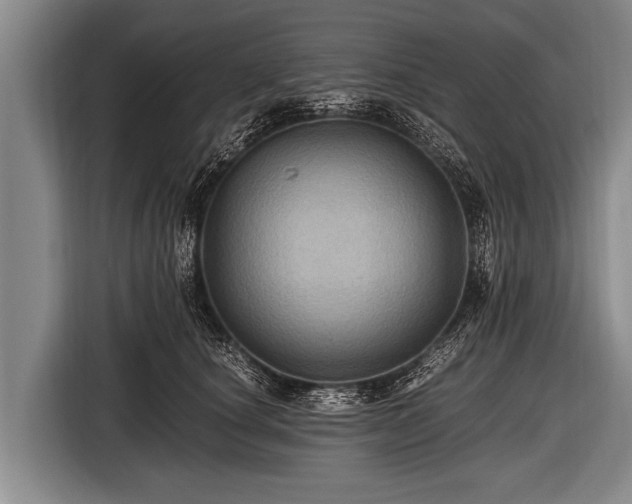 X0000116800660200912241202