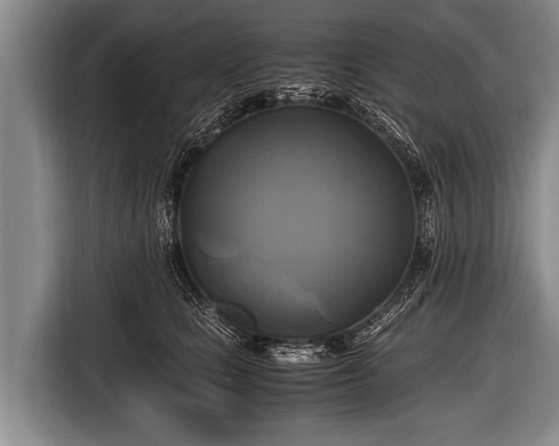 X0000116800661200912241202