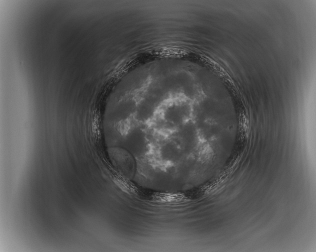 X0000116800663200912241202