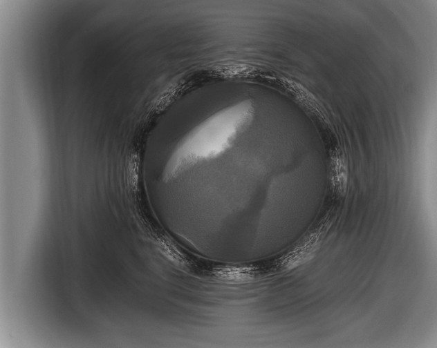 X0000116800664200912241202