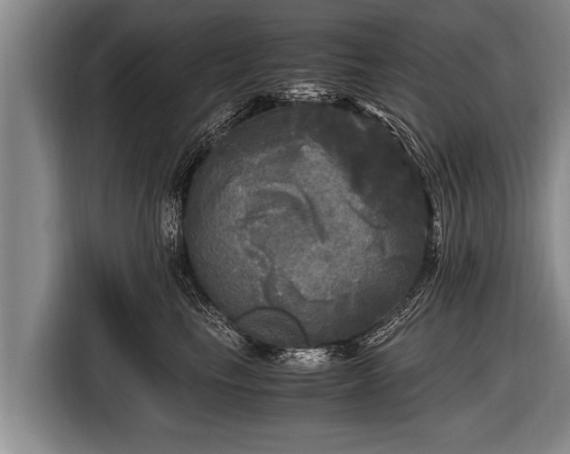 X0000116800665200912241202