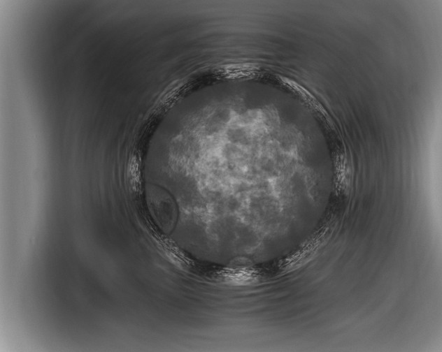 X0000116800667200912241202