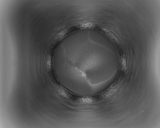 X0000116800668200912241202