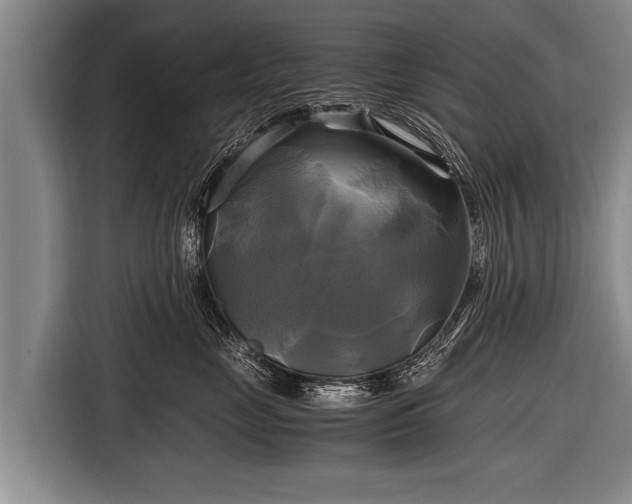 X0000116800669200912241202