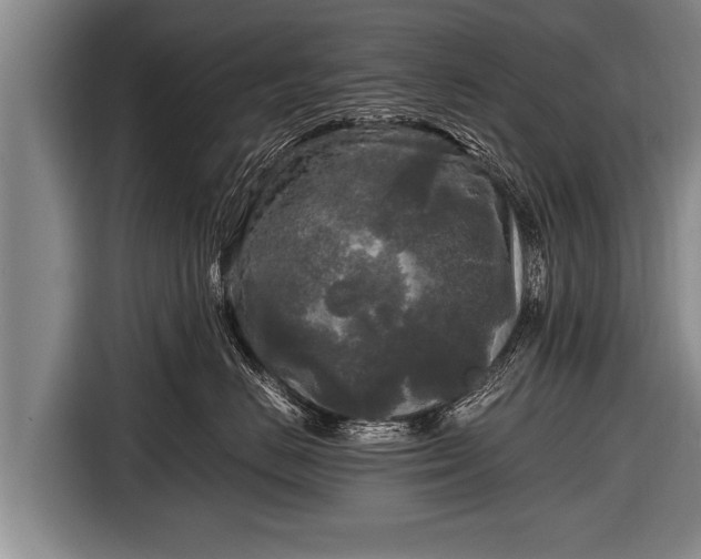 X0000116800670200912241202