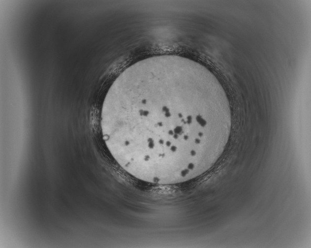 X0000116800672200912241202