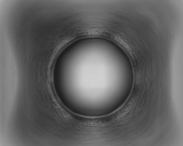 X0000116800673200912241202