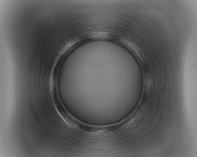 X0000116800674200912241202