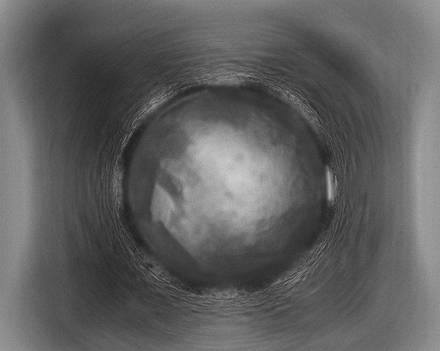 X0000116800675200912241202