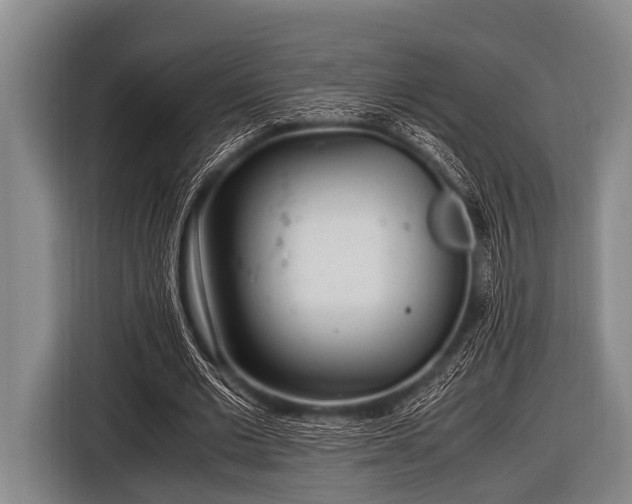 X0000116800677200912241202