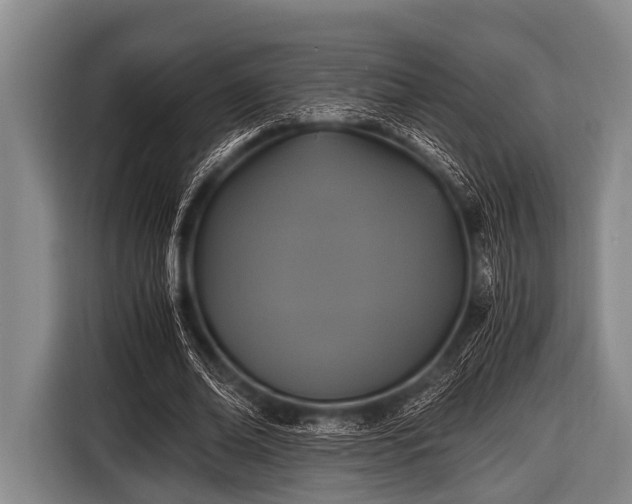 X0000116800678200912241202