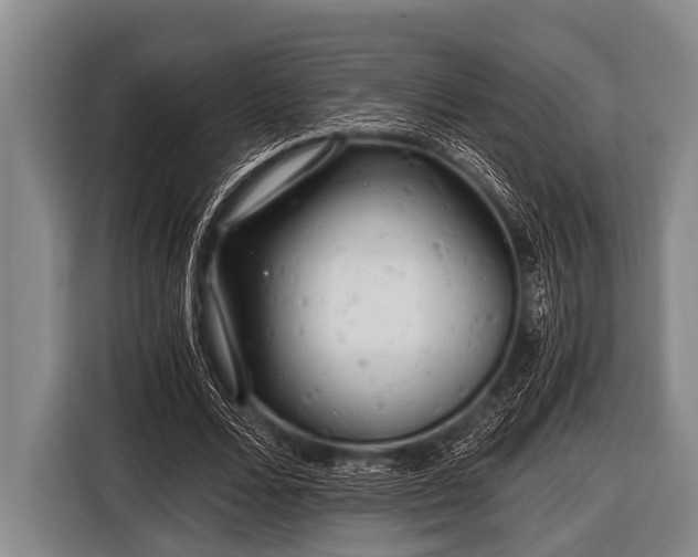 X0000116800680200912241202