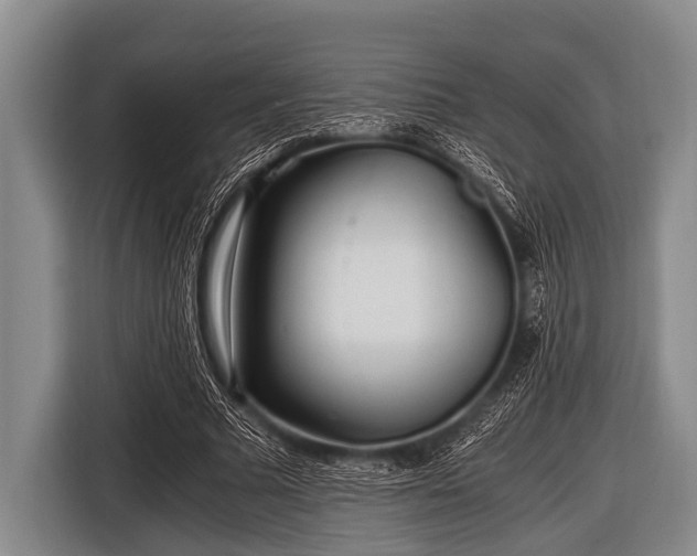 X0000116800681200912241202