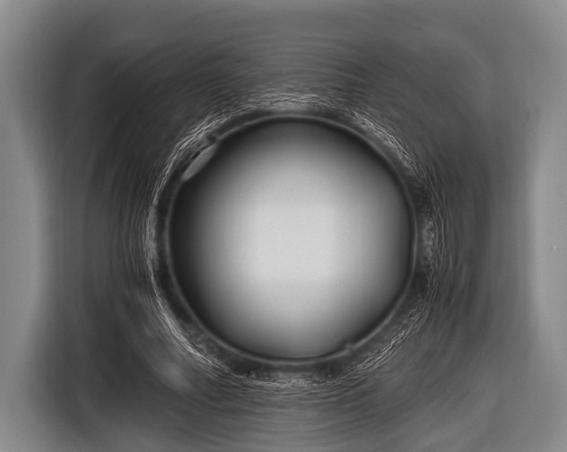 X0000116800682200912241202