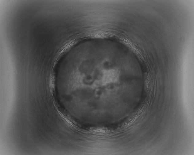 X0000116800683200912241201