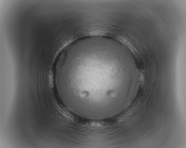 X0000116800684200912241201