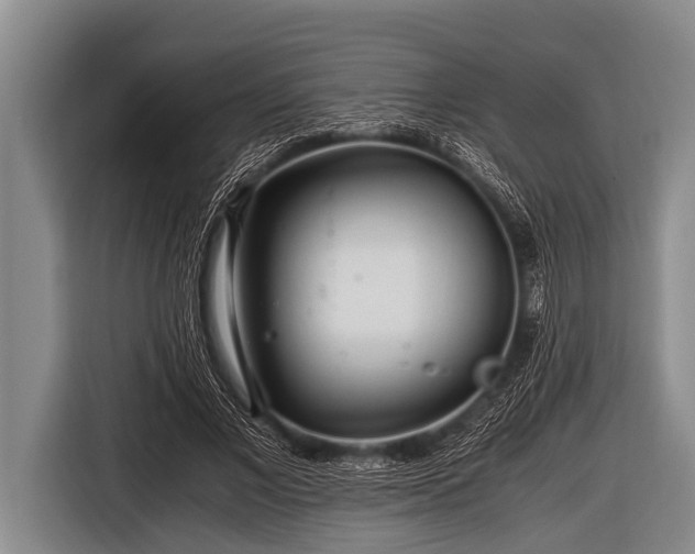 X0000116800685200912241201