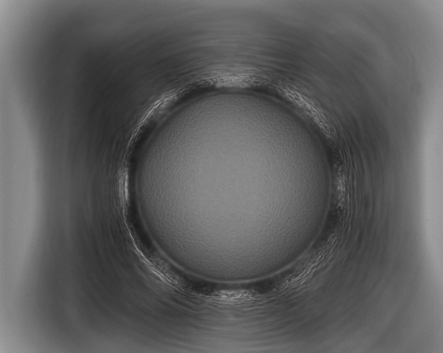 X0000116800686200912241201