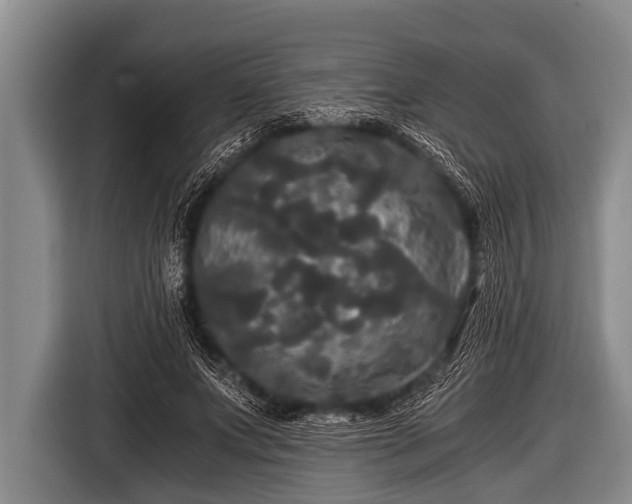 X0000116800687200912241201