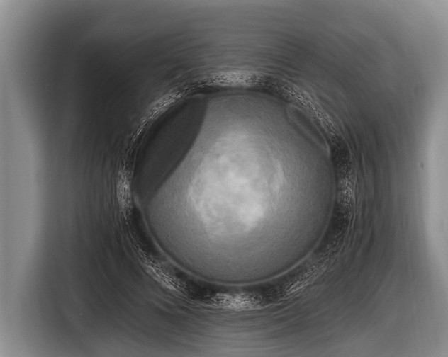 X0000116800688200912241201