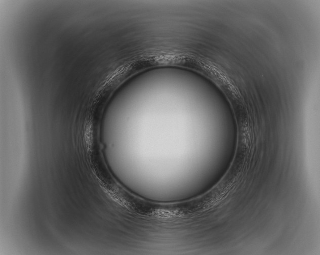 X0000116800690200912241201