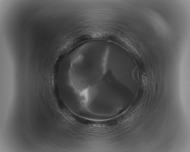 X0000116800691200912241201