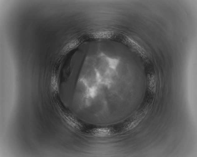 X0000116800692200912241201