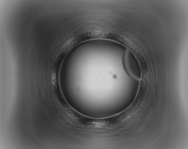 X0000116800693200912241201