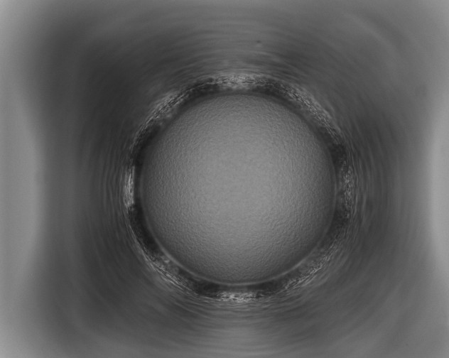 X0000116800694200912241201