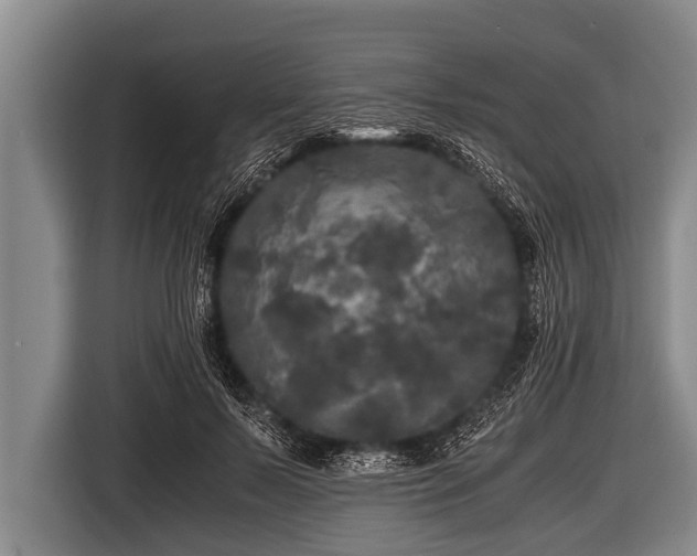 X0000116800695200912241201