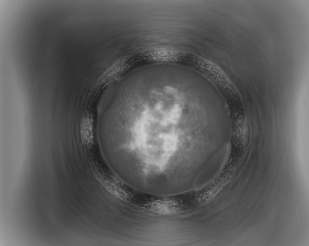 X0000116800696200912241201