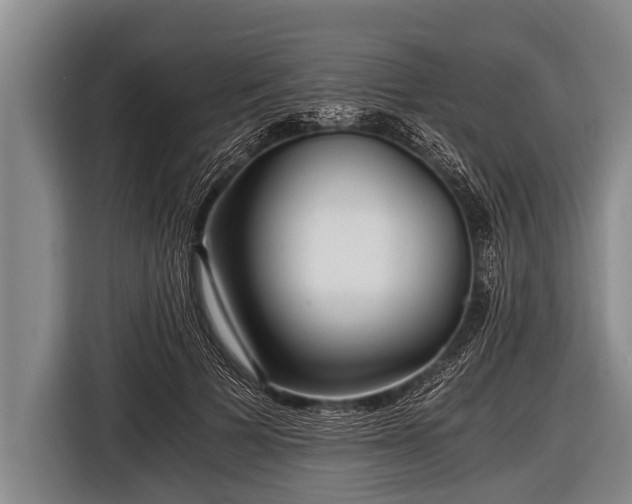 X0000116800697200912241201