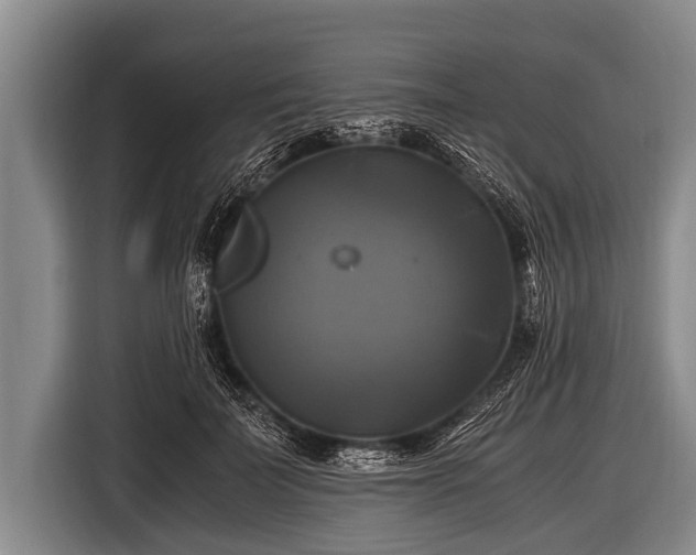 X0000116800699200912241201