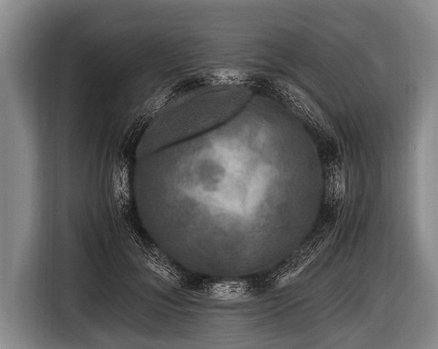 X0000116800700200912241201