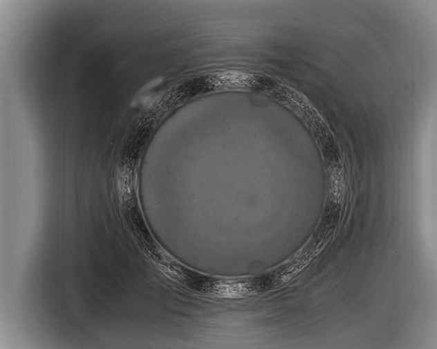 X0000116800701200912241201